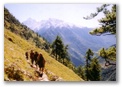 Adventure Geo Treks