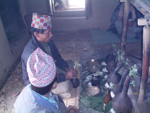 Cultural Tour Nepal